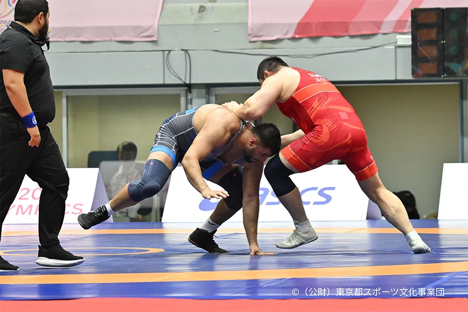 Photograph of Wrestling Freestyle athletes.